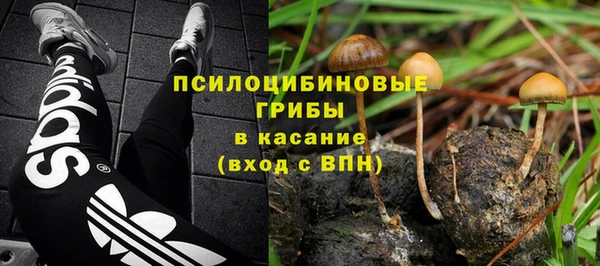 альфа пвп Нефтегорск