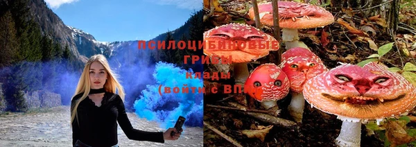 бошки Нефтекумск