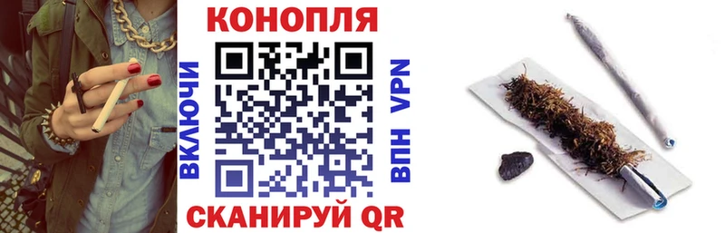 купить наркотики сайты  MEGA маркетплейс  Конопля White Widow  Няндома 